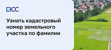 Узнать кадастровый номер земельного участка по фамилии