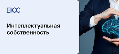 Интеллектуальная собственность