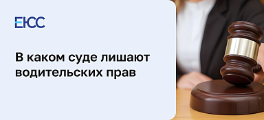 Решение суда о лишении водительских прав