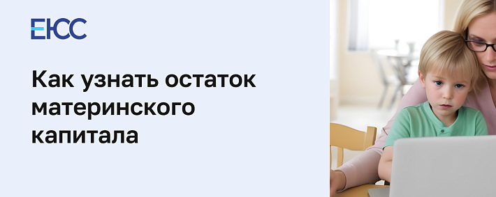 Узнать остаток материнского капитала