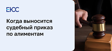 Судебный приказ на алименты
