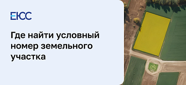 Условный номер земельного участка