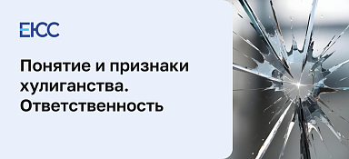 Хулиганство - статья 213 УК РФ