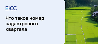 Что такое кадастровый квартал