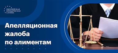 Апелляционная жалоба по алиментам