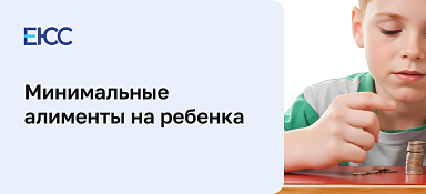 В каком размере выплачиваются минимальные алименты на ребенка