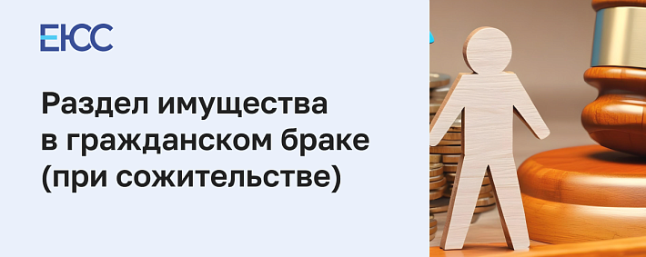 Раздел имущества в гражданском браке: можно ли разделить собственность между сожителями