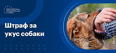 Штраф за укус собаки