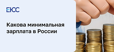 Минимальная зарплата в России