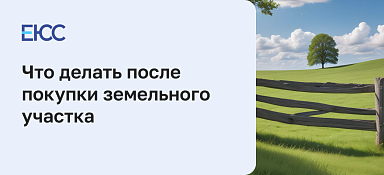 Что делать после покупки участка