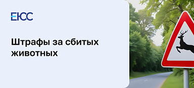 Штрафы за сбитых животных
