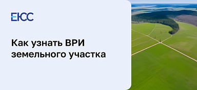 Установление вида разрешенного использования