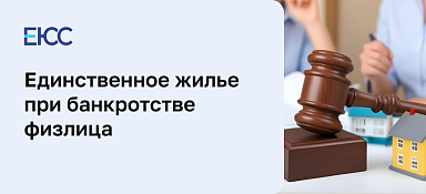 Единственное жилье при банкротстве физического лица