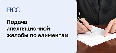 Добровольные алименты на ребенка