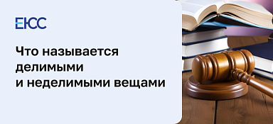 Делимые и неделимые вещи: значение категорий в сделках