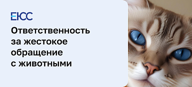 Жестокое обращение с животными