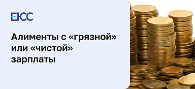 Алименты с грязной или чистой зарплаты