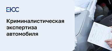 Криминалистическая экспертиза ГАИ