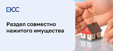 Раздел совместно нажитого имущества