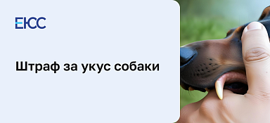 Штраф за укус собаки