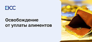 Освобождение от уплаты алиментов