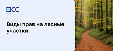 Виды прав на лесные участки