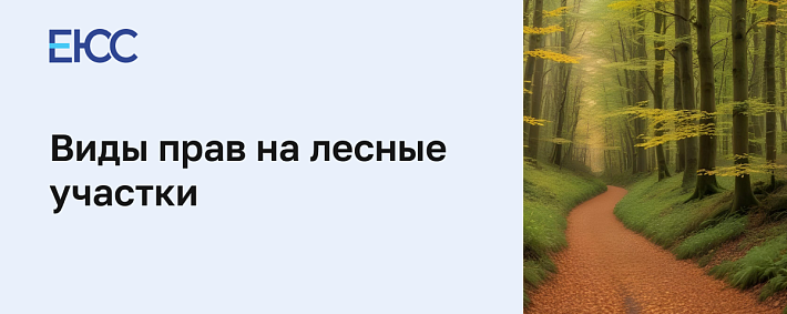 Виды прав на лесные участки