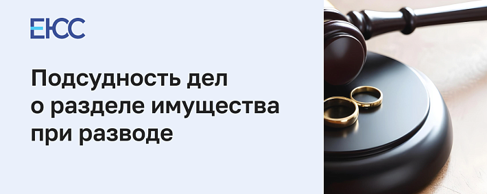 Подсудность дел о разделе имущества при разводе