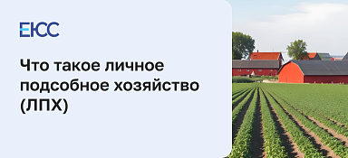 Что такое ЛПХ