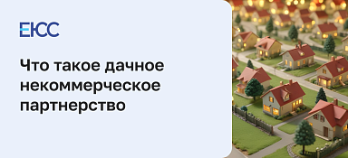 Что означает статус ДНП