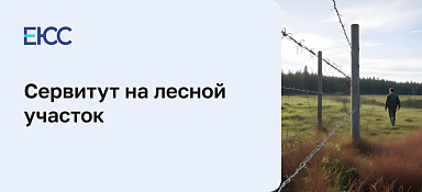 Сервитут на лесной участок