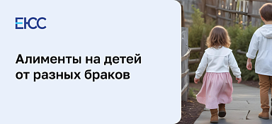 Алименты на детей от разных браков