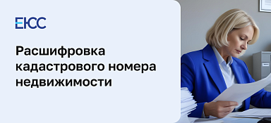 Расшифровка кадастрового номера