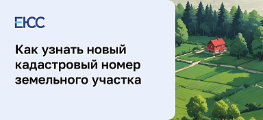 Узнать новый кадастровый номер по старому