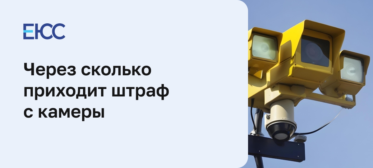Через сколько приходит штраф с камеры