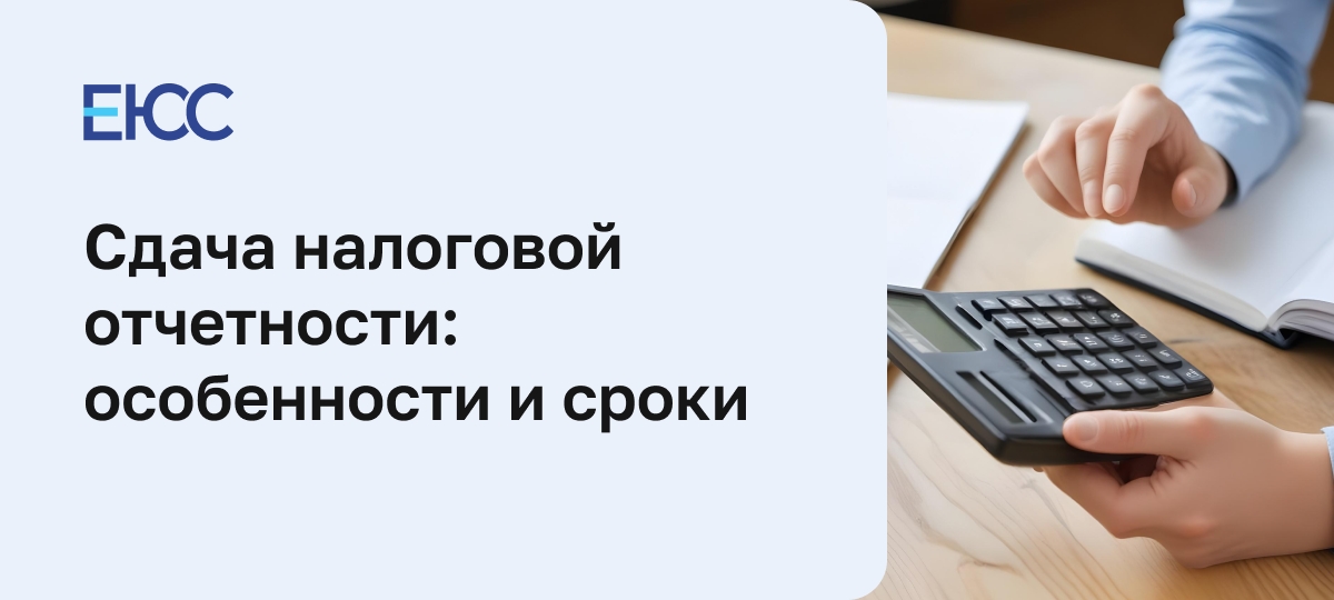 Сдача налоговой отчетности