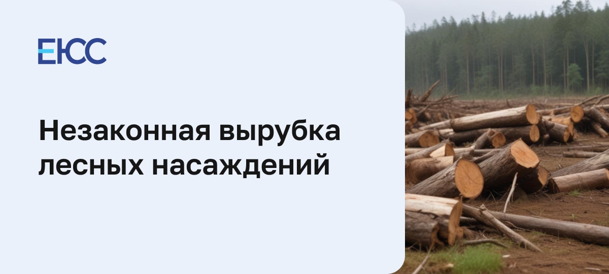 Незаконная вырубка лесов