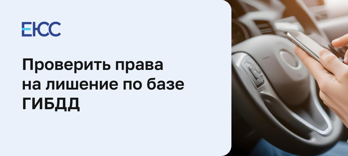 Как проверить права на лишение по базе ГИБДД