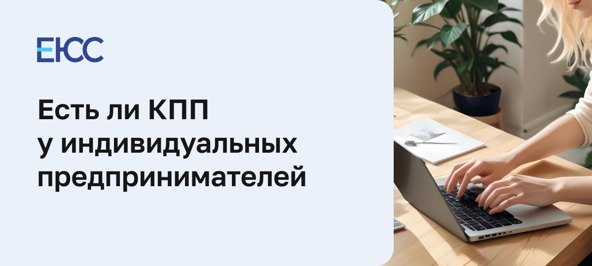 КПП у ИП как узнать