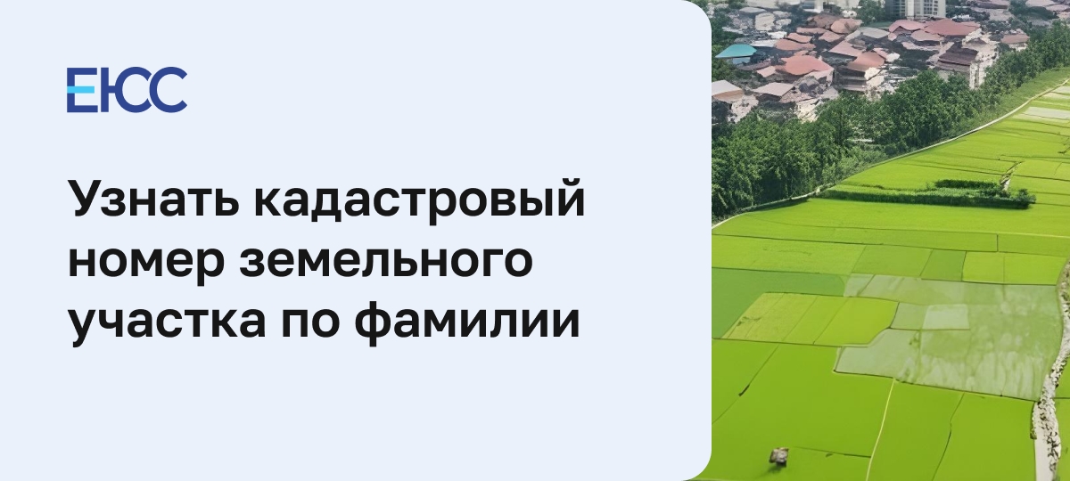 Узнать кадастровый номер земельного участка по фамилии