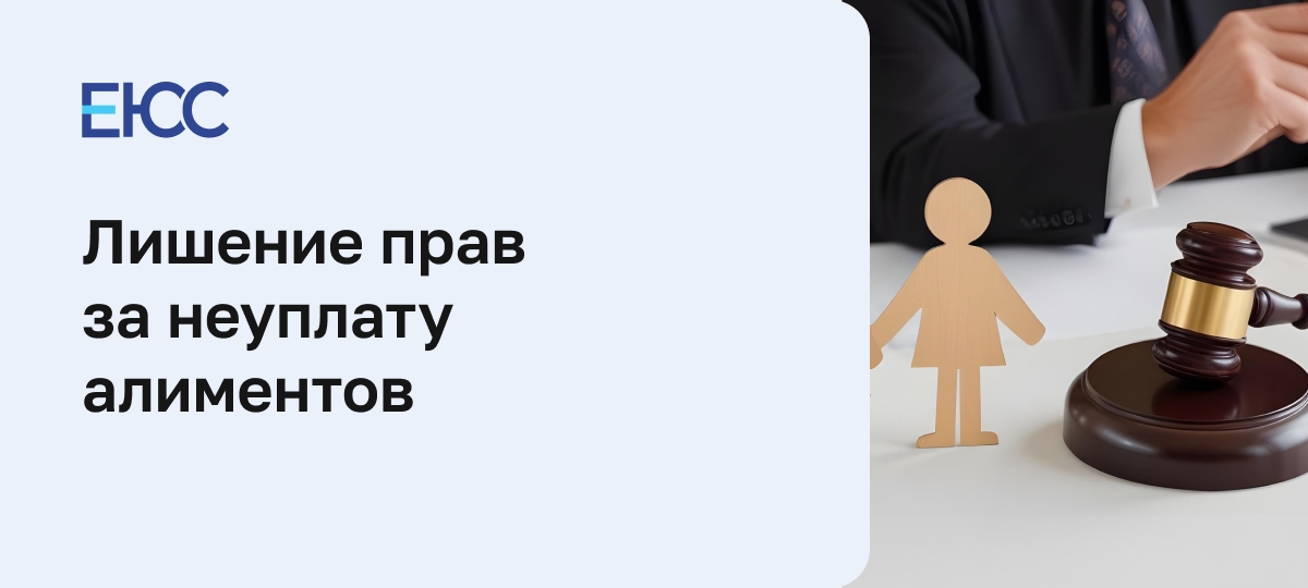Лишение прав за неуплату алиментов