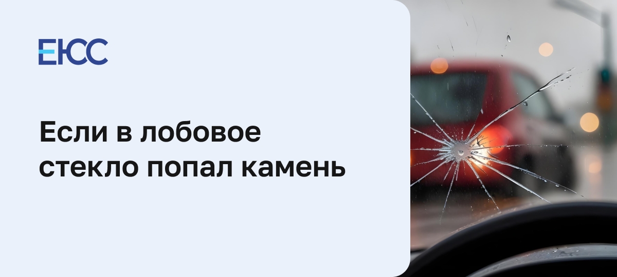 Попал камень в лобовое стекло