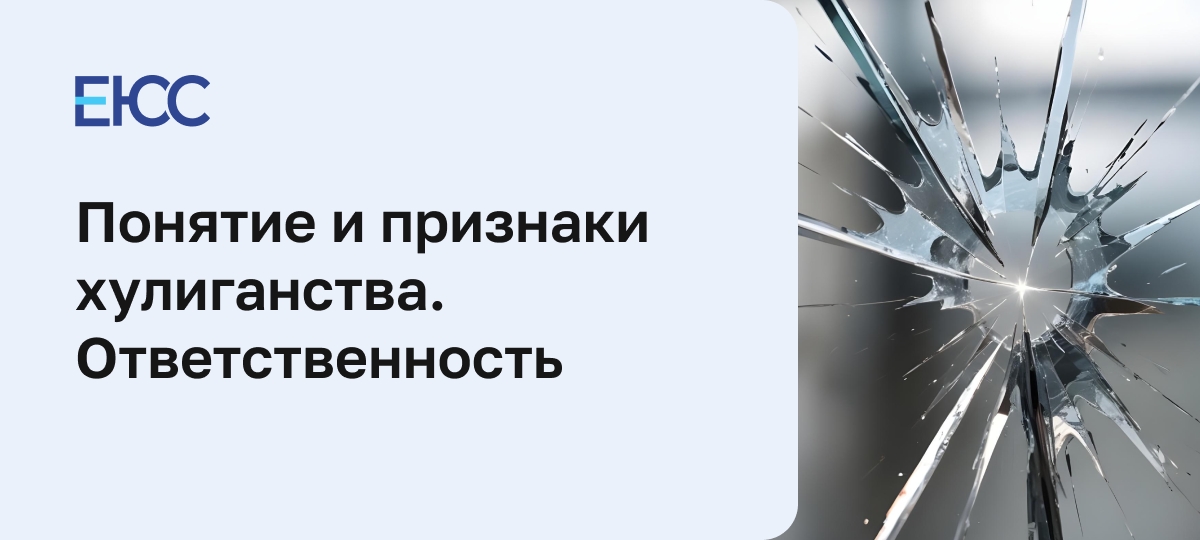 Хулиганство - статья 213 УК РФ