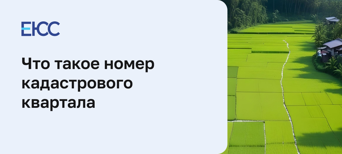 Что такое кадастровый квартал