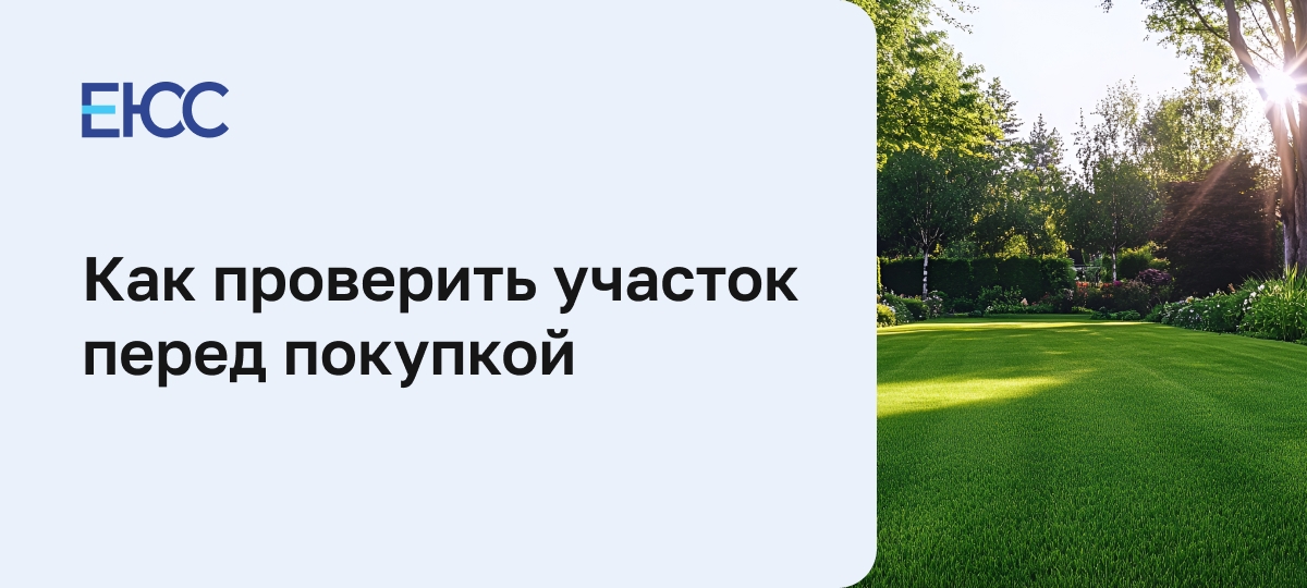 Как проверить земельный участок перед покупкой