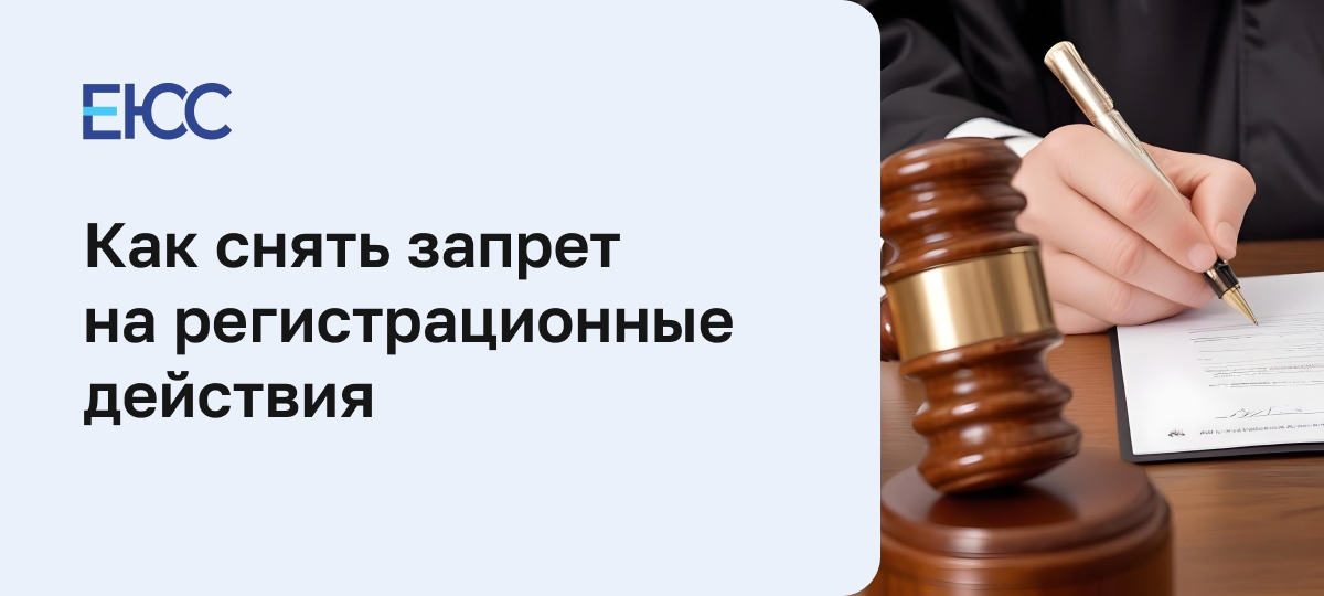 Как снять запрет на регистрационные действия