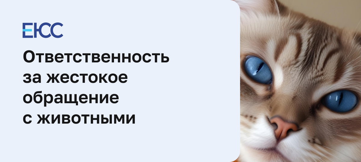 Жестокое обращение с животными