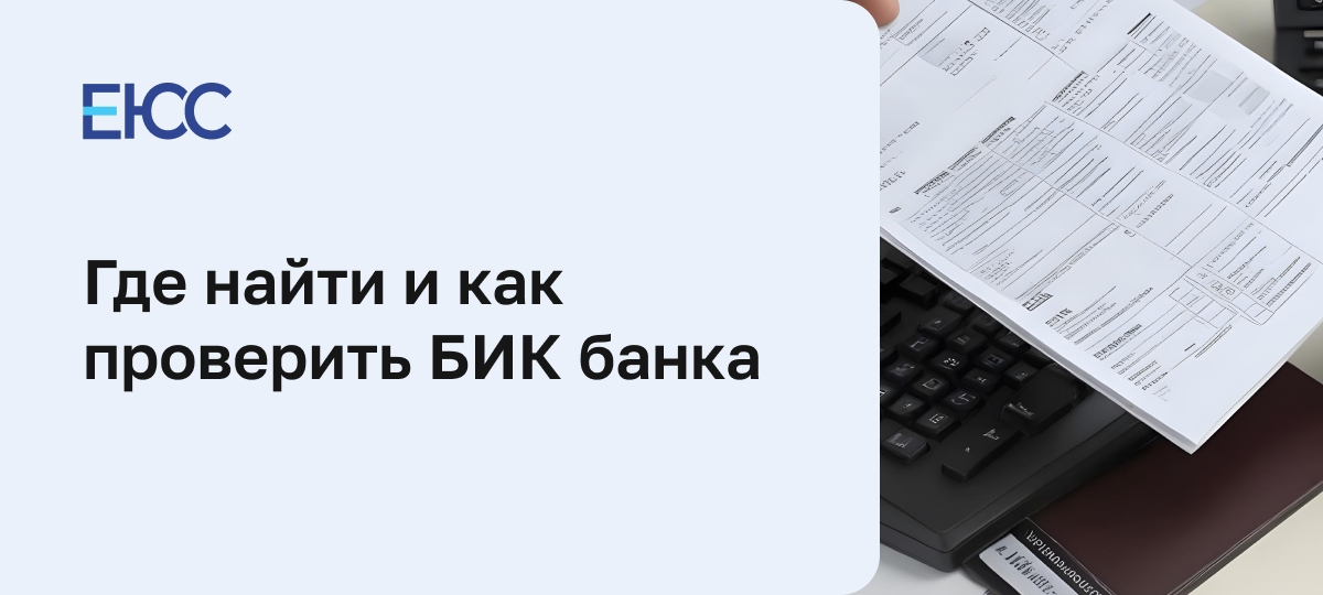 Что такое БИК банка