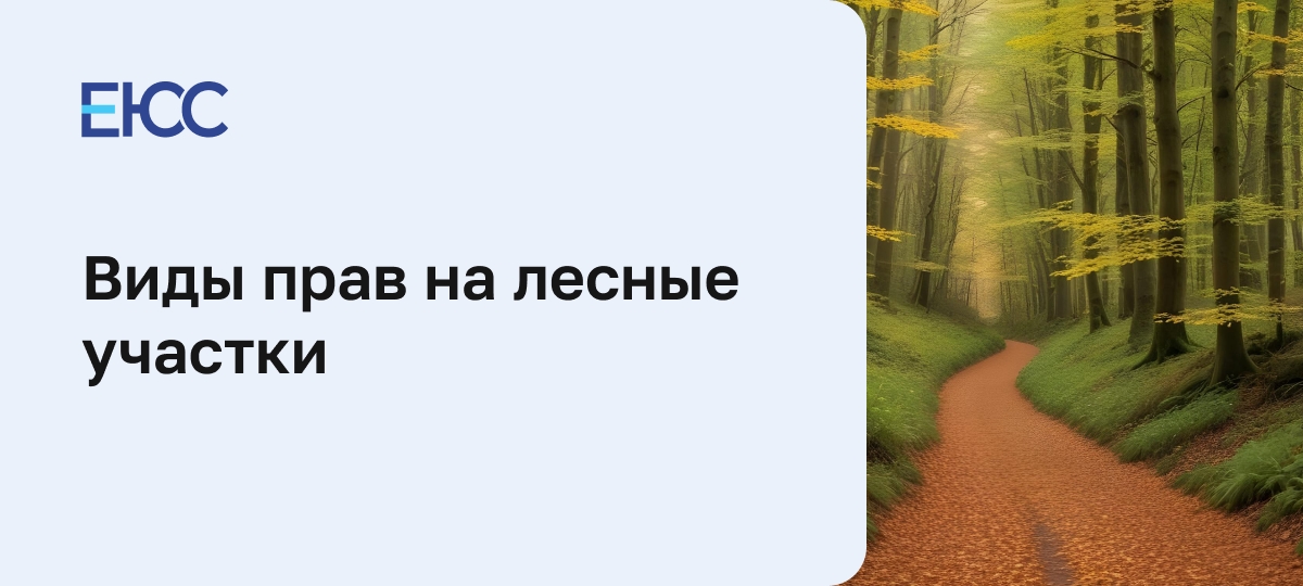 Виды прав на лесные участки