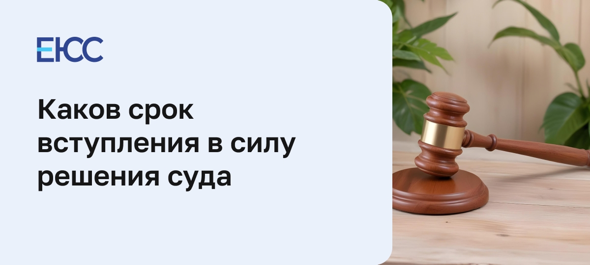 Срок вступления в силу решения суда